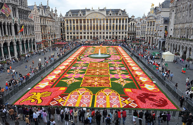 Відомий у всьому світі гігантський килим із живих квітів знову з'явиться на головній площі Брюсселя